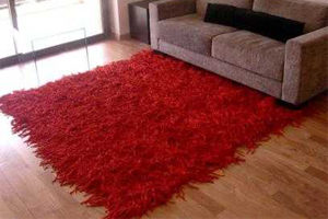 imagen de como evitar que patiene una alfombra con plastidip